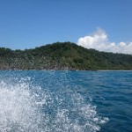 View from the back of the boat in Costa Rica's Osa Peninsula.