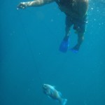 Leo Ramsey spearfishing in Costa Rica.