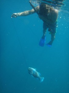 Leo Ramsey spearfishing in Costa Rica.