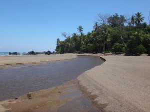The river mouth in Drake's Bay, Costa Rica.