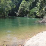 Swimming in Drake Bay, Costa Rica.