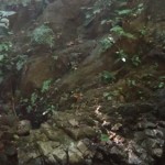 A waterfall in Matapalo, Costa Rica.